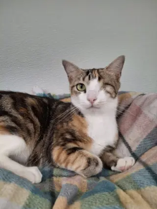 Wink