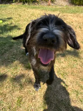 Molly