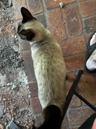 Eleanor