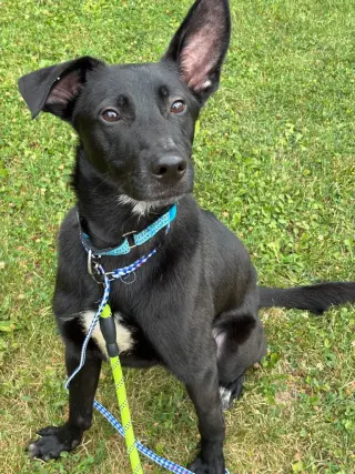 Petey