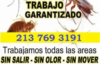 FUMIGACION BARATA 2137693191