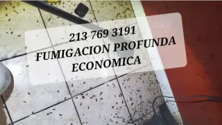FUMIGACION BARATA 2137693191