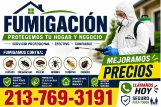FUMIGACION BARATA 2137693191