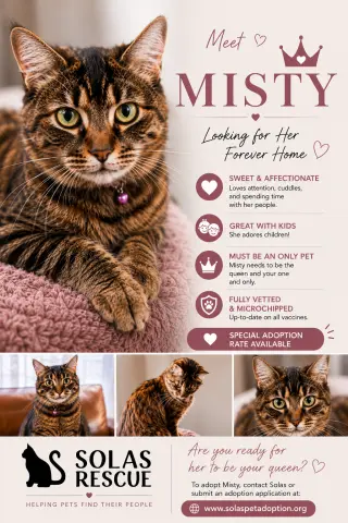 Misty