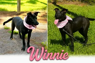 Winnie
