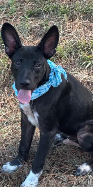 Billy