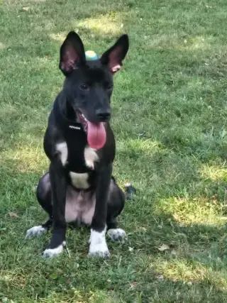 Billy