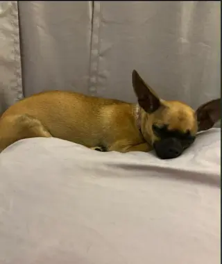 Gracelynn in LA