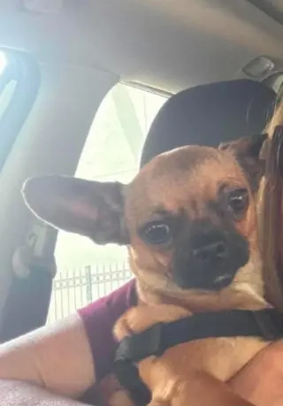 Bibi in TX