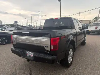 Ford F-150 2020 4x4 Platinum 4dr SuperCrew 5.5 ft. SB