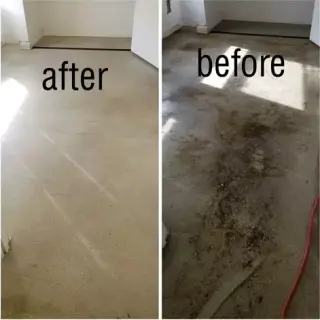 lavamos alfombra pisos y sofas