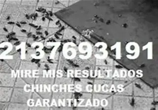 FUMIGACION %100 GARANTIZADA SI