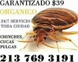 FUMIGACION %100 GARANTIZADA SI