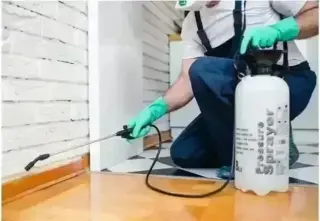 PIÑAS PEST CONTROL🦟🐀🐛