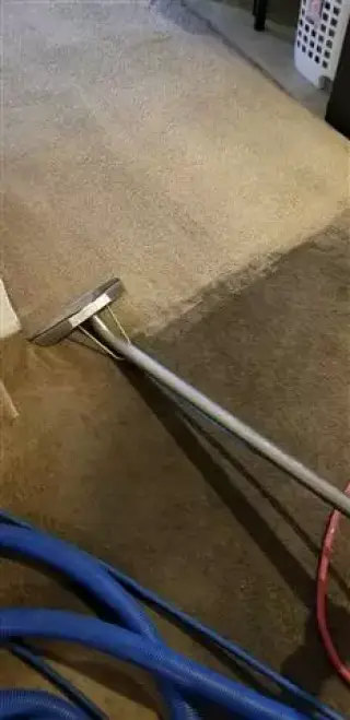 limpieza de alfombra, sofas