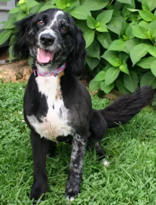 MARLEY GIRL