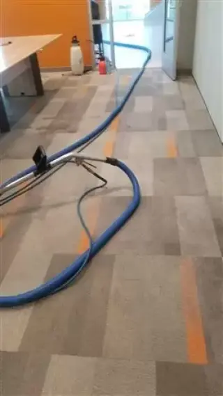lavado de alfombra y pisos
