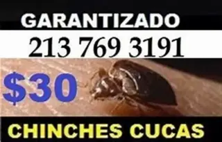 FUMIGACION GARANTIZADA $49