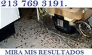 FUMIGACION GARANTIZADA $49