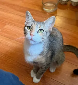 Charlie