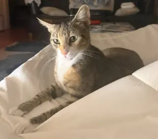 Charlie