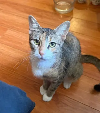Charlie