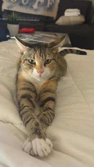 Charlie