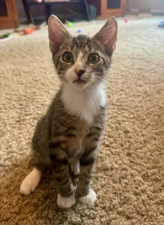 Jermey =^.^=
