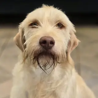 Kayda