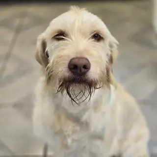 Kayda
