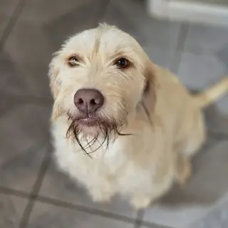 Kayda