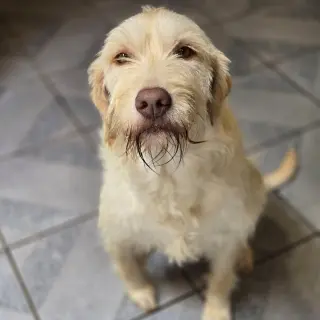 Kayda