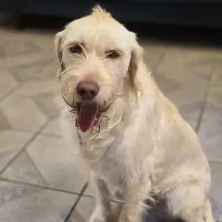 Kayda