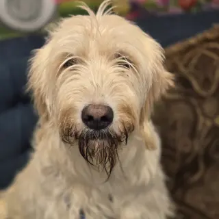 Zach