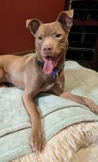 Adorable Maisy
