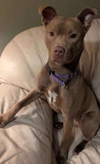 Adorable Maisy