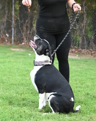 Keko - HHS RRP