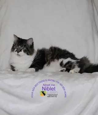 Niblet