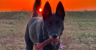 Tala- located in Texas
