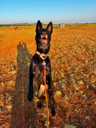 Tala- located in Texas