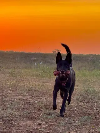 Tala- located in Texas