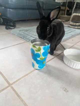 Loki #3