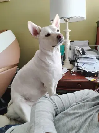 Ooyoo