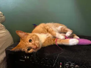 Coco