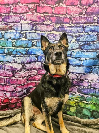 Freya
