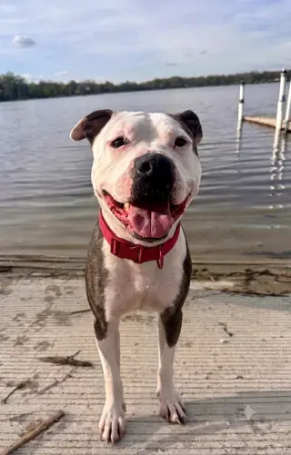 Jax