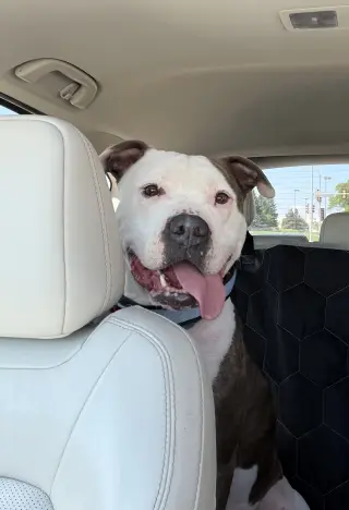 Jax