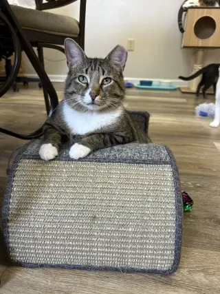 Jerry