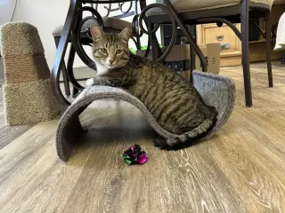 Jerry