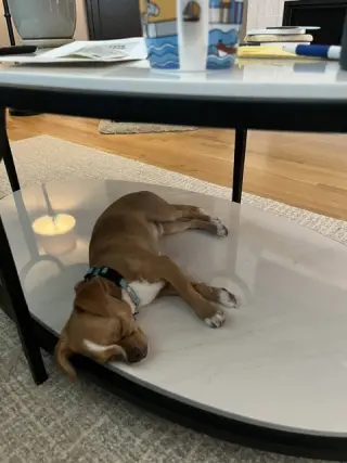 Canelo